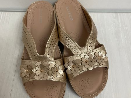 Sandals Flats By Clothes Mentor In Gold, Size: 11.5 Online now