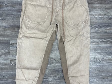 Pants Joggers By Anthropologie In Brown, Size: M Fashion