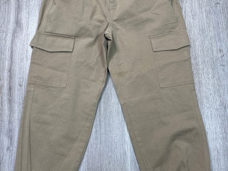 Pants Joggers By Elodie In Brown, Size: M Online Hot Sale