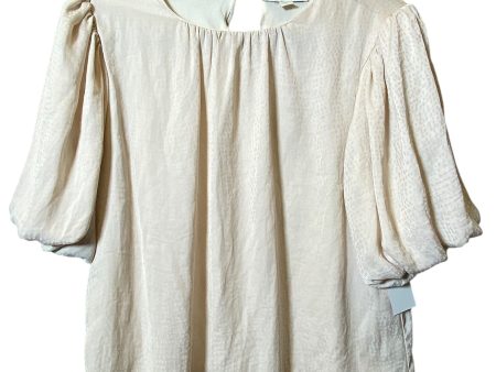 Top Short Sleeve By She + Sky In Cream, Size: S Online Sale