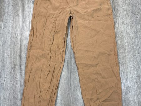 Pants Joggers By Abercrombie And Fitch In Brown, Size: M Online now