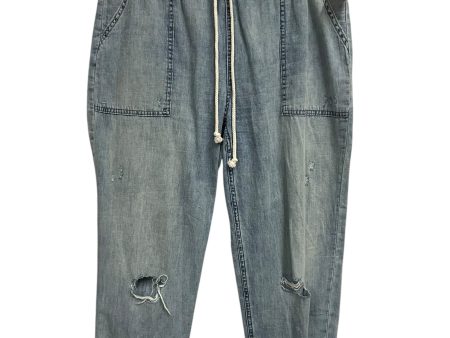 Pants Joggers By Aerie In Blue, Size: L Online Sale