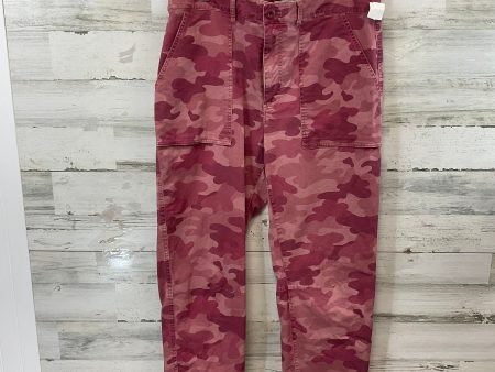 Pants Other By Sundance In Pink, Size: 14 For Cheap