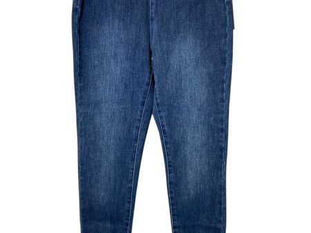 Jeans Skinny By Soft Surroundings In Blue, Size: Xs Online Sale