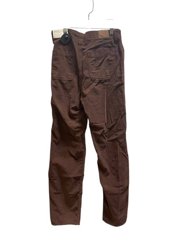 Pants Cargo & Utility By American Eagle In Brown, Size: 4 Online Sale