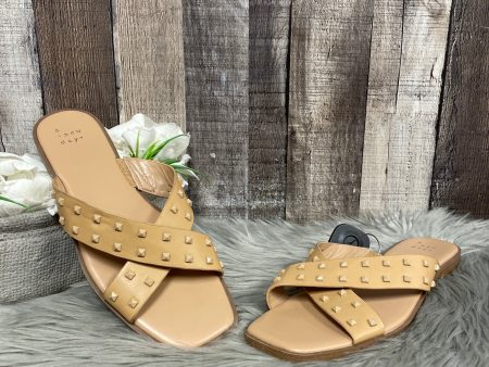 Sandals Flats By A New Day In Tan, Size: 8.5 Online Hot Sale